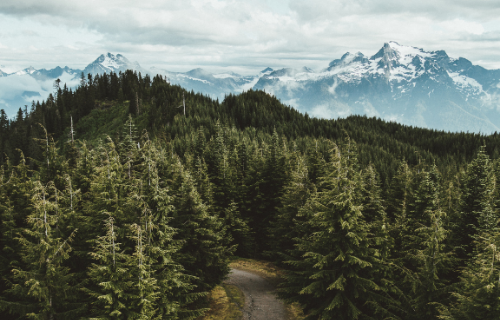 Updates page website 2