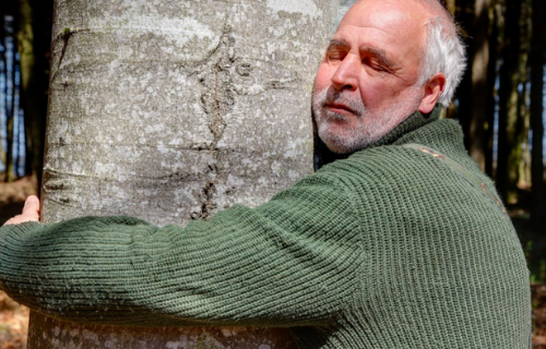 Updates page website 5